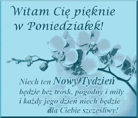 Jasno fioletowe kwiaty na poniedziałek